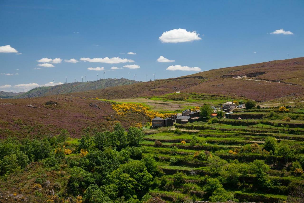 Villa Casa Da Granja Arouca Esterno foto